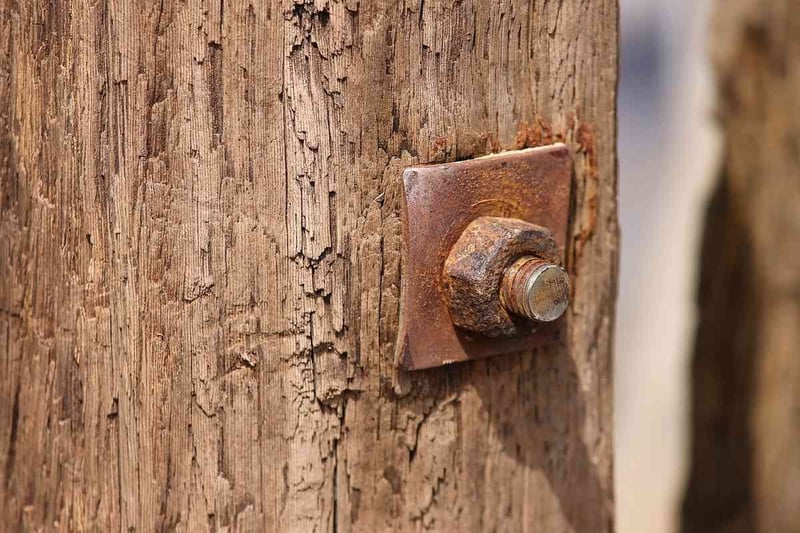 Traitement charpente ancienne bois humide : la méthode qui sauve tout